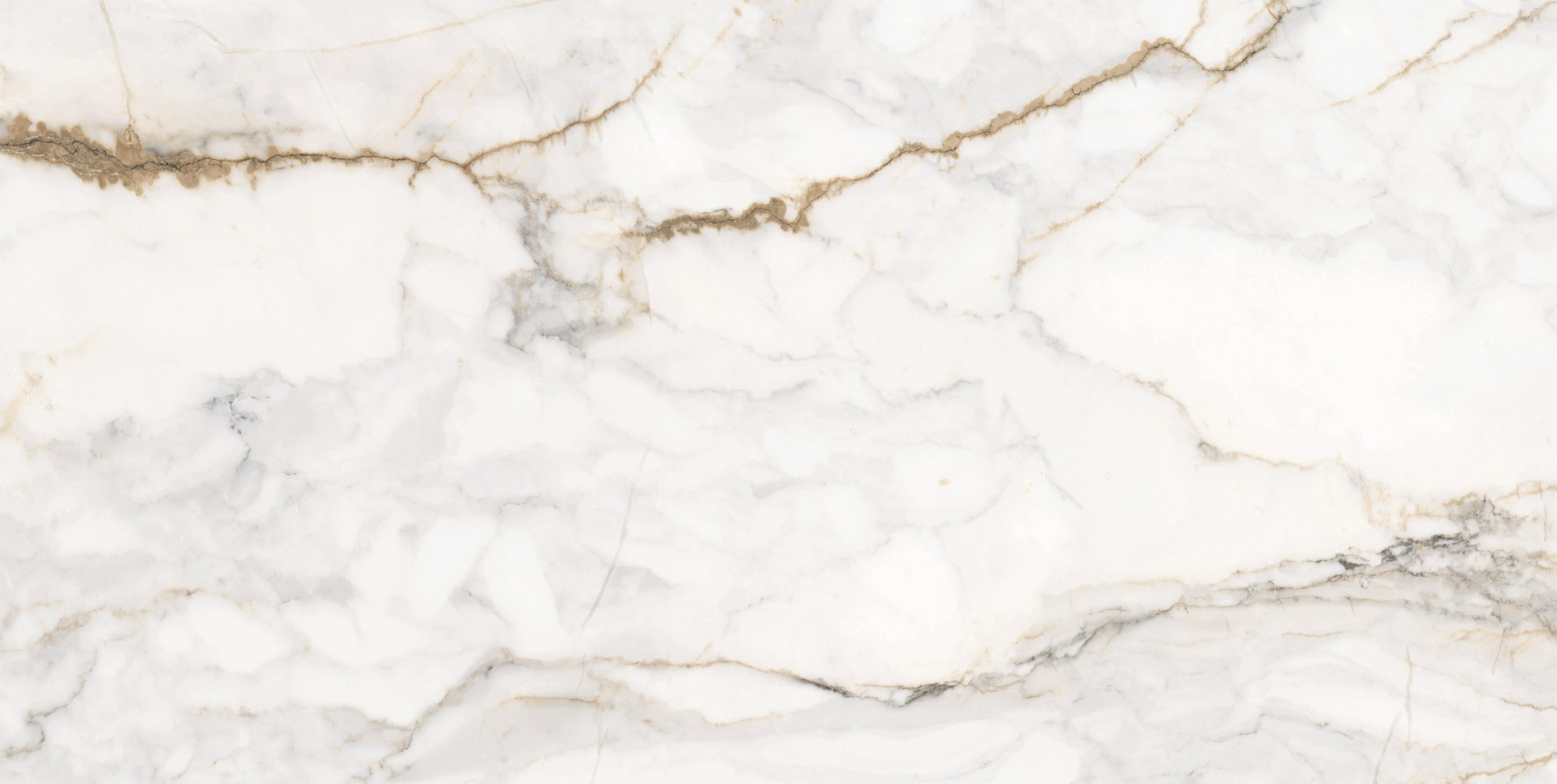 Calacata Gold | Limestone Ceramics